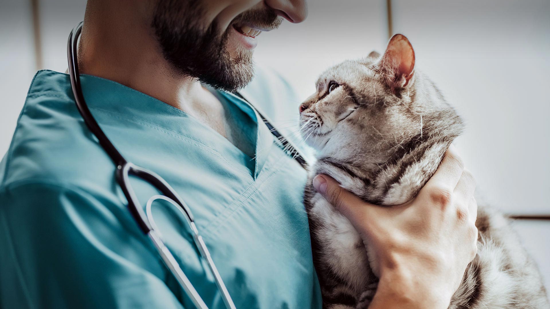 Örnekköy Veteriner